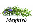 Meghívó